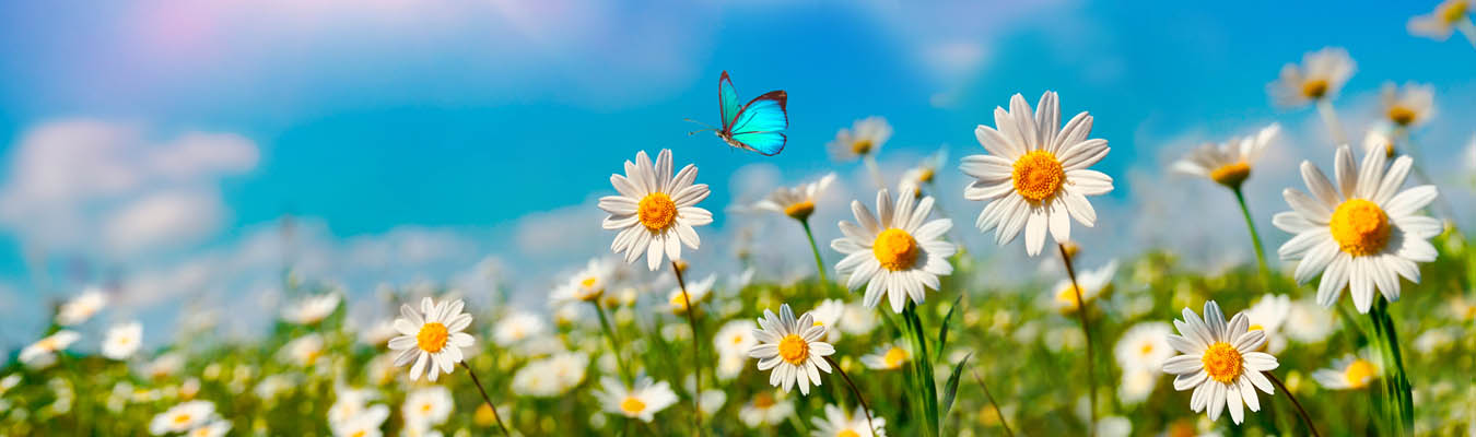 hero-image-emdr2_smaller EMDR Therapy Connecticut